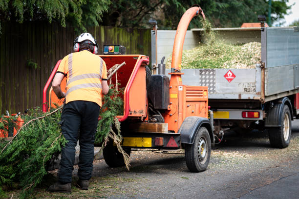 Best Storm Damage Tree Cleanup  in Grand Prairie, TX