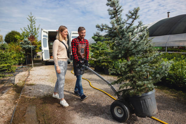 Best Seasonal Cleanup (Spring/Fall)  in Grand Prairie, TX